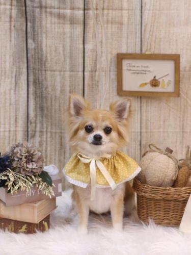 20241005りるちゃん